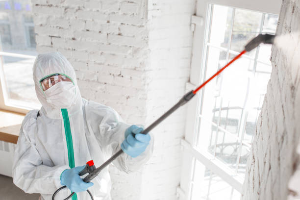 Best Post-Remediation Verification Testing  in Lansford, PA