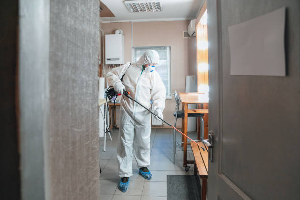 Best Commercial Mold Inspection  in Lansford, PA