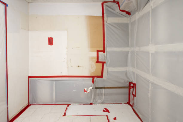 Reliable Lansford, PA Mold Removal Solutions