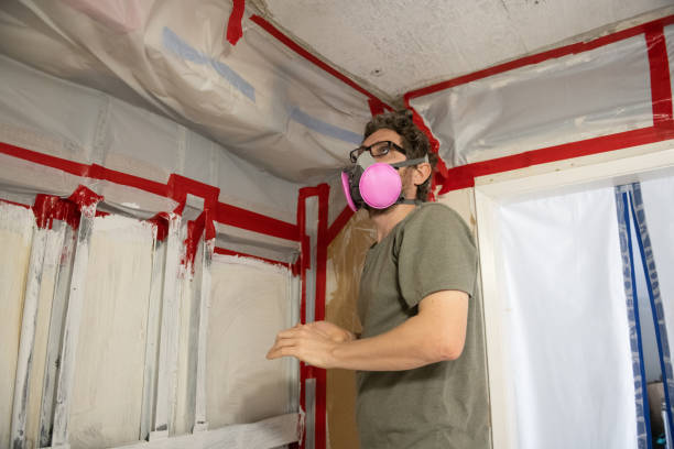 Biohazard Mold Removal in Lansford, PA