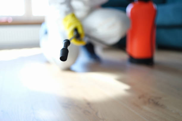 Best Biohazard Mold Removal  in Lansford, PA