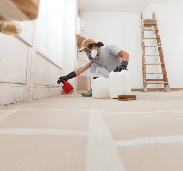 Best Environmental Consulting for Mold Prevention  in Lansford, PA